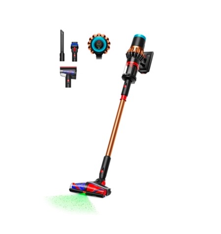 Dyson V16 Piston Animal